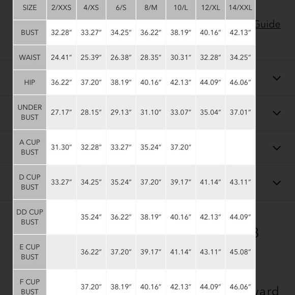 SEAFOLLY Block Party High Neck Tank Top Sz 6 - Picture 10 of 11